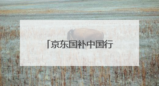 京东国补中国行助力武汉小龙虾特色经济，点燃夏日消费热潮
