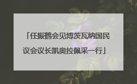 任振鹤会见博茨瓦纳国民议会议长凯奥拉佩采一行