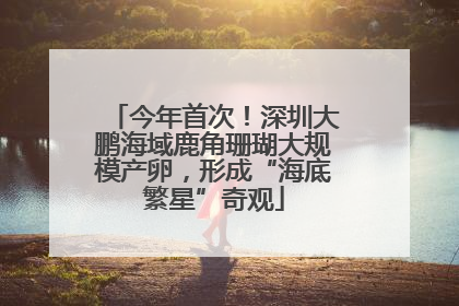 今年首次！深圳大鹏海域鹿角珊瑚大规模产卵，形成“海底繁星”奇观