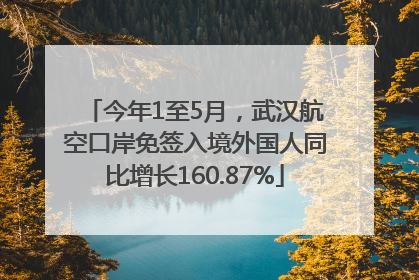 今年1至5月，武汉航空口岸免签入境外国人同比增长160.87%