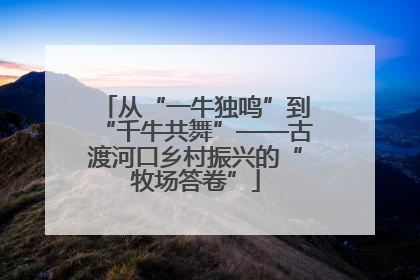 从“一牛独鸣”到“千牛共舞”——古渡河口乡村振兴的“牧场答卷”