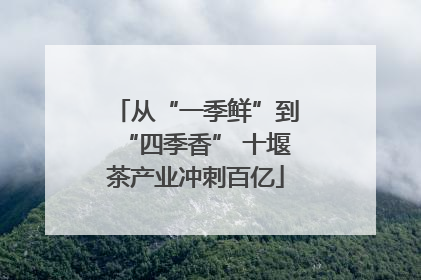 从“一季鲜”到“四季香” 十堰茶产业冲刺百亿
