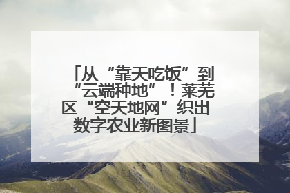 从“靠天吃饭”到“云端种地”！莱芜区“空天地网”织出数字农业新图景