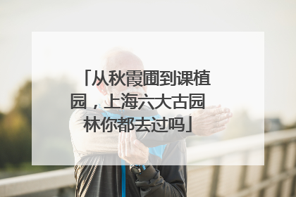 从秋霞圃到课植园，上海六大古园林你都去过吗