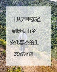 从万里茶道到绿满山乡 安化黑茶的生态致富路