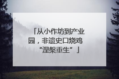 从小作坊到产业园，非遗史口烧鸡“涅槃重生”