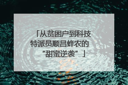 从贫困户到科技特派员顺昌蜂农的“甜蜜逆袭”