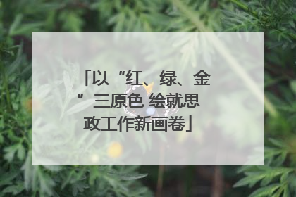 以“红、绿、金”三原色 绘就思政工作新画卷