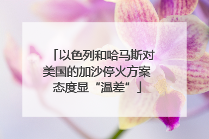 以色列和哈马斯对美国的加沙停火方案态度显“温差”