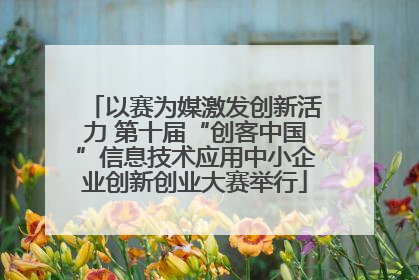 以赛为媒激发创新活力 第十届“创客中国”信息技术应用中小企业创新创业大赛举行