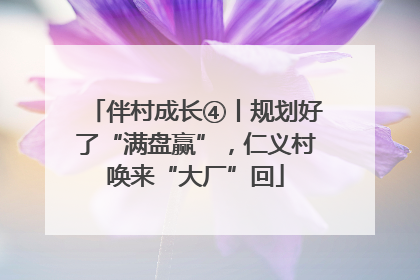 伴村成长④丨规划好了“满盘赢”，仁义村唤来“大厂”回