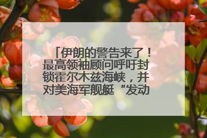 伊朗的警告来了！最高领袖顾问呼吁封锁霍尔木兹海峡，并对美海军舰艇“发动导弹袭击”
