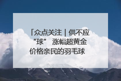 众点关注｜供不应“球” 涨幅超黄金 价格亲民的羽毛球为何身价飞涨？