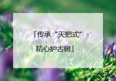 传承“天把式” 精心护古树