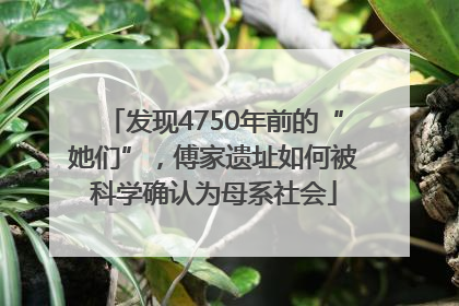发现4750年前的“她们”，傅家遗址如何被科学确认为母系社会