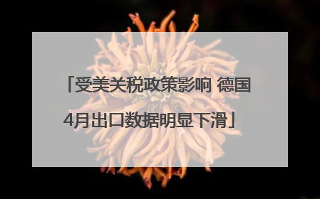 受美关税政策影响 德国4月出口数据明显下滑