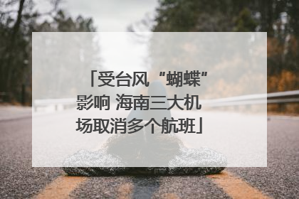 受台风“蝴蝶”影响 海南三大机场取消多个航班