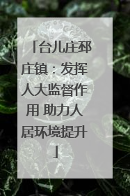 台儿庄邳庄镇：发挥人大监督作用 助力人居环境提升