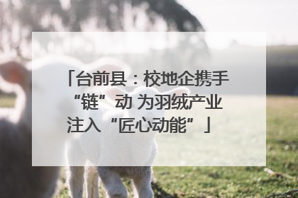 台前县：校地企携手“链”动 为羽绒产业注入“匠心动能”