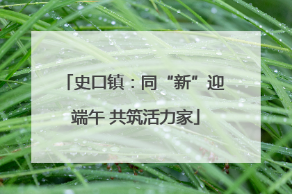 史口镇：同“新”迎端午 共筑活力家