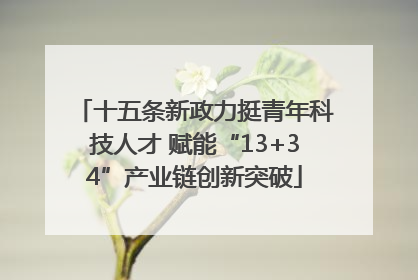 十五条新政力挺青年科技人才 赋能“13+34”产业链创新突破