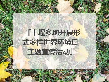 十堰多地开展形式多样世界环境日主题宣传活动