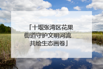 十堰张湾区花果街道守护文明河流 共绘生态画卷