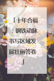 十年合福：钢铁动脉书写区域发展壮丽答卷