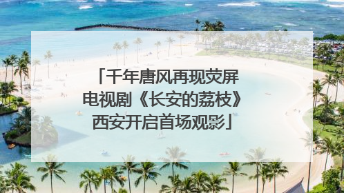 千年唐风再现荧屏 电视剧《长安的荔枝》西安开启首场观影