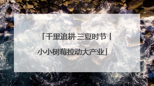 千里追耕·三夏时节丨小小树莓拉动大产业