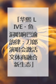 华熙 LIVE・鱼洞唱响巴渝韵律：刀郎演唱会激活文体商融合新生态
