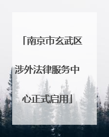 南京市玄武区涉外法律服务中心正式启用