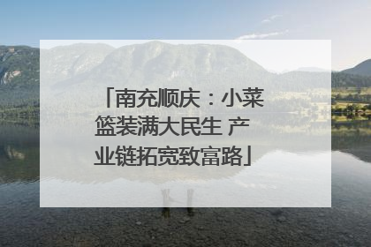 南充顺庆：小菜篮装满大民生 产业链拓宽致富路