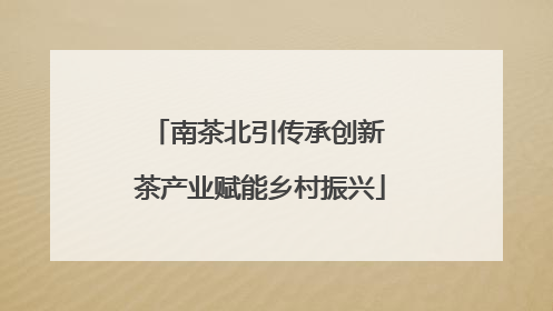 南茶北引传承创新 茶产业赋能乡村振兴