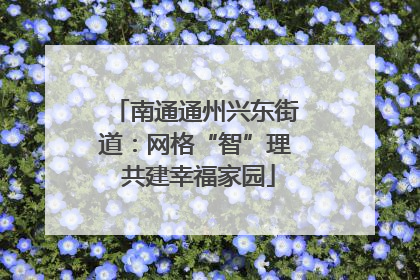 南通通州兴东街道：网格“智”理 共建幸福家园
