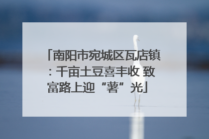 南阳市宛城区瓦店镇：千亩土豆喜丰收 致富路上迎“薯”光