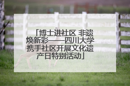 博士进社区 非遗焕新彩——四川大学携手社区开展文化遗产日特别活动