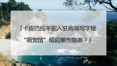 卡皮巴拉羊驼入驻商场写字楼 “萌宠馆”暗藏哪些隐患？
