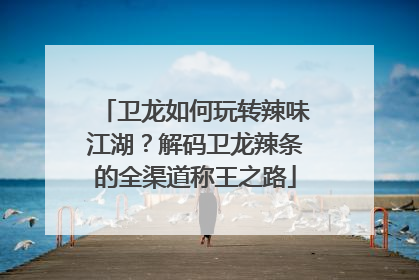 卫龙如何玩转辣味江湖？解码卫龙辣条的全渠道称王之路