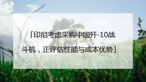 印尼考虑采购中国歼-10战斗机，正评估性能与成本优势