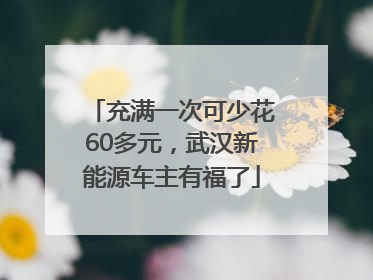 充满一次可少花60多元，武汉新能源车主有福了