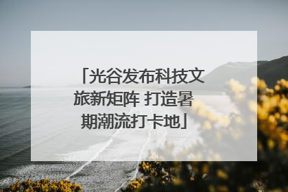 光谷发布科技文旅新矩阵 打造暑期潮流打卡地