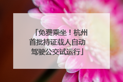 免费乘坐！杭州首批持证载人自动驾驶公交试运行