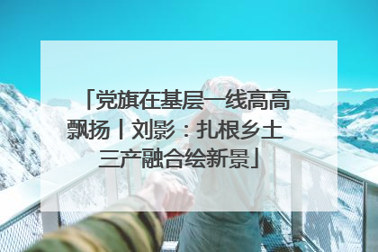党旗在基层一线高高飘扬丨刘影：扎根乡土 三产融合绘新景