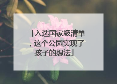 入选国家级清单，这个公园实现了孩子的想法