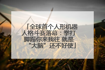 全球首个人形机器人格斗赛落幕：拳打脚踢你来我往 就是“大脑”还不好使