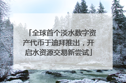 全球首个淡水数字资产代币于迪拜推出，开启水资源交易新尝试