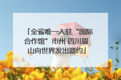 全省唯一入驻“国际合作馆”市州 四川眉山向世界发出邀约