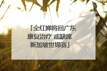 全红婵将回广东康复治疗 或缺席新加坡世锦赛