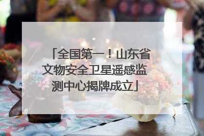全国第一！山东省文物安全卫星遥感监测中心揭牌成立